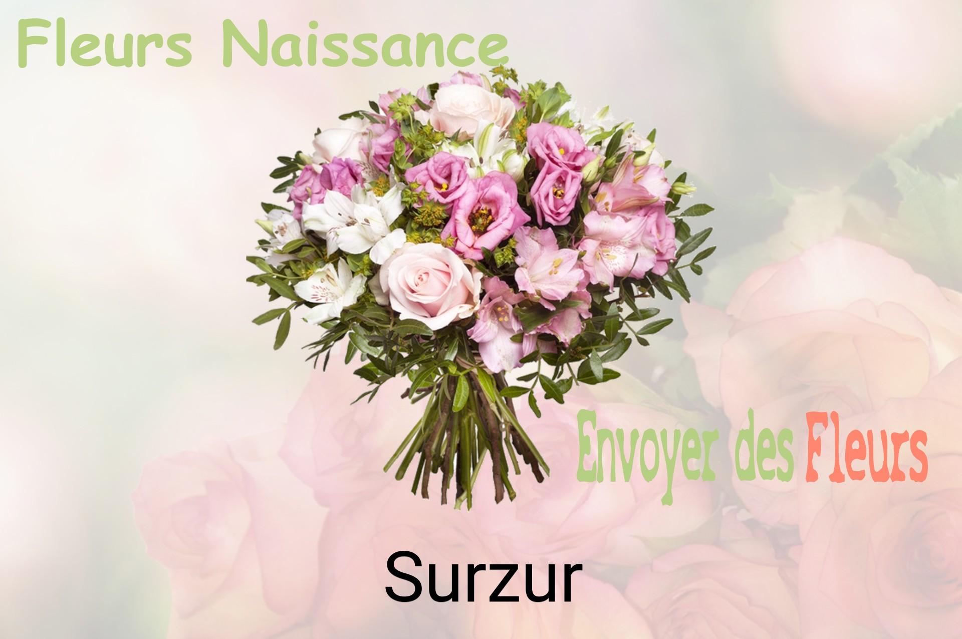 Bouquet de fleurs de naissance livré à Surzur